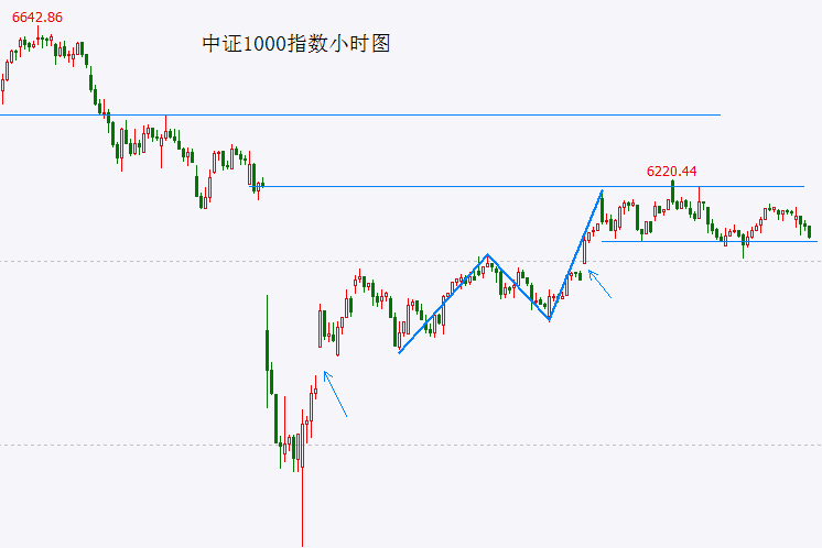 定州东亭镇：冬日植树忙 家园添新绿
