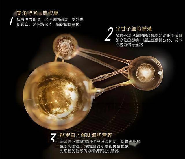 以品质 窗恒久！素派门窗始终持续长期主义品牌路线。
